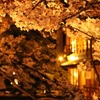 京都の夜。