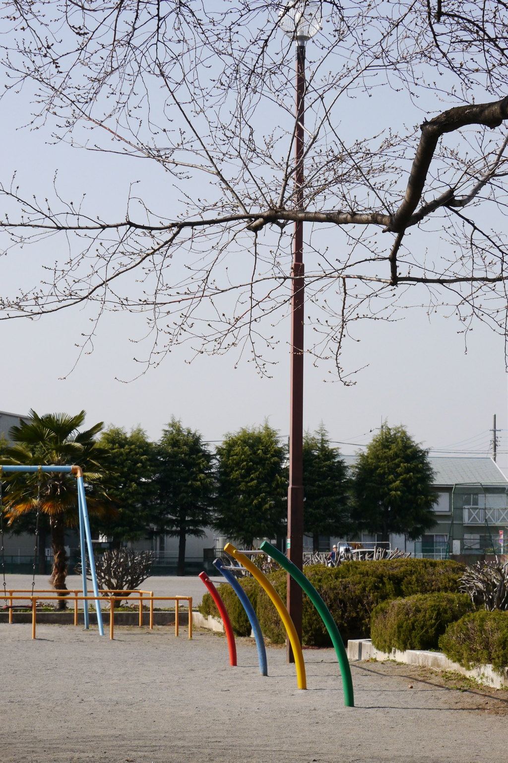 公園日和