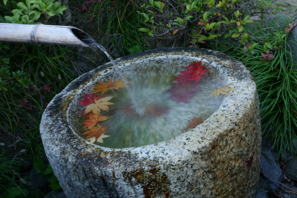 流水