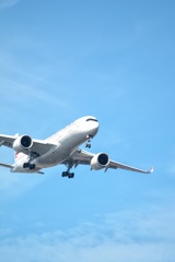 空②