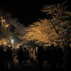 金沢城公園の夜桜２