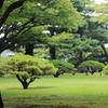 殿ヶ谷戸庭園