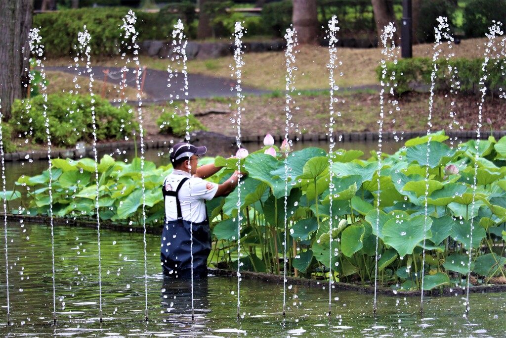 感謝の気持ち