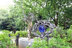 街を見守る青い目