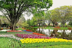 緑に囲まれた花の苑