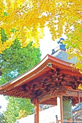 鐘楼と銀杏