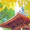 鐘楼と銀杏