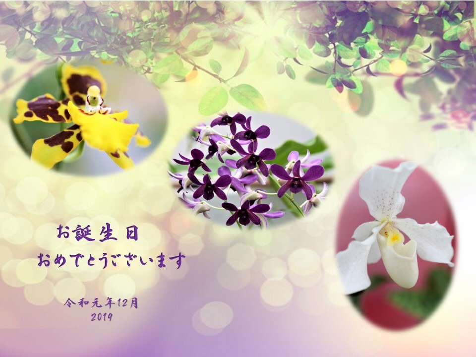 十二月がお誕生日のみなさまへ