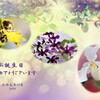 十二月がお誕生日のみなさまへ