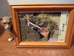 風流な、、、（その後2）