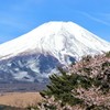 富士山と桜と