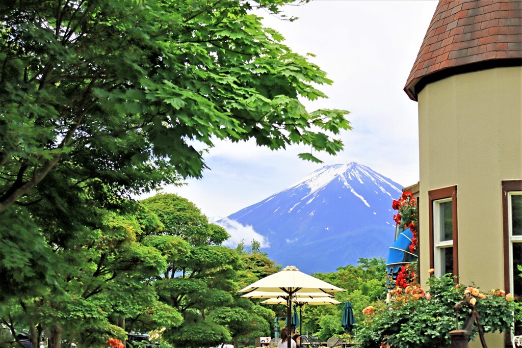 富士山を望む
