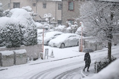 雪になりました