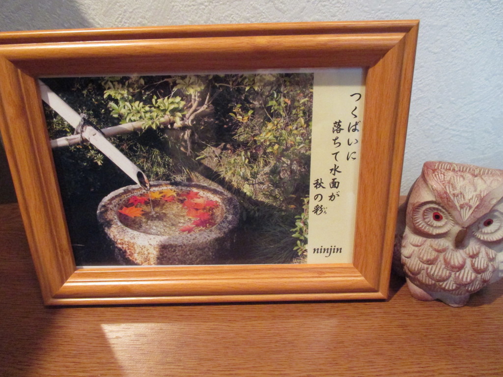 風流な、、、（その後１）