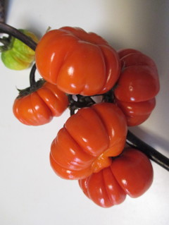 トマトそれともカボチャ？