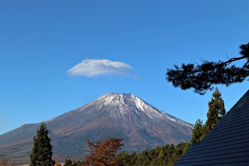 爽やかな秋の日に