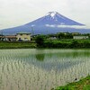 五月の富士山