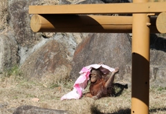 ぼくのおもちゃ
