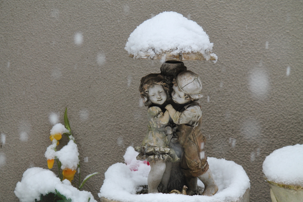 White Love
