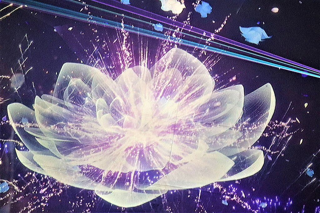 花とデジタルのアート２