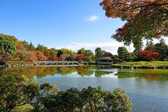 昭和記念公園の秋
