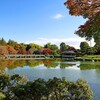 昭和記念公園の秋