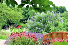 夏の花壇・神代植物公園