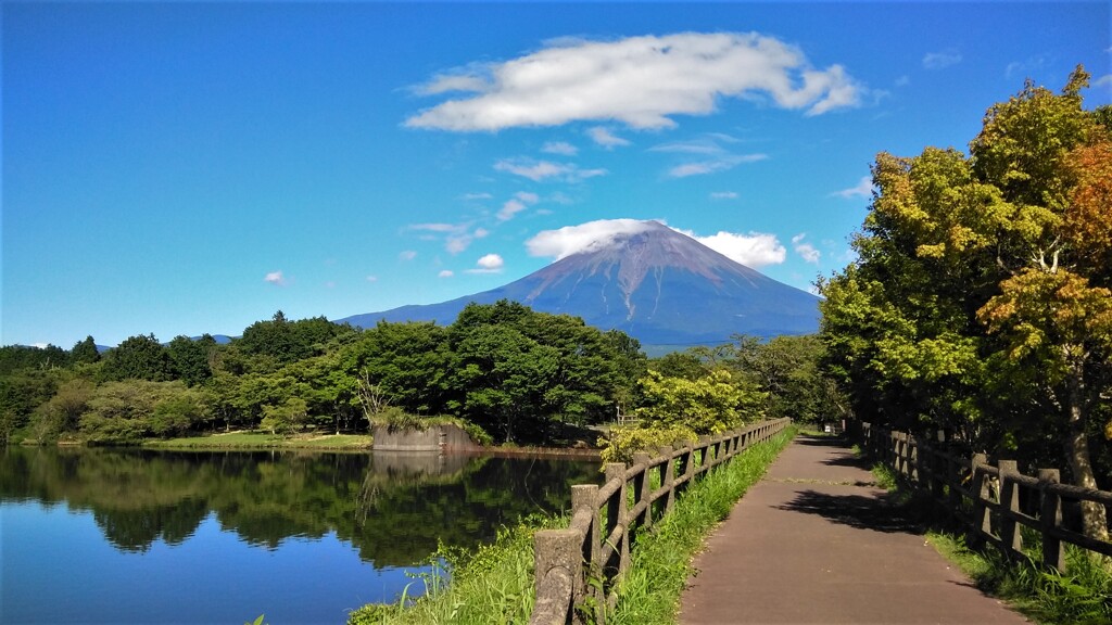 田貫湖からの富士山