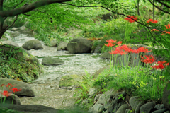 小川のほとり