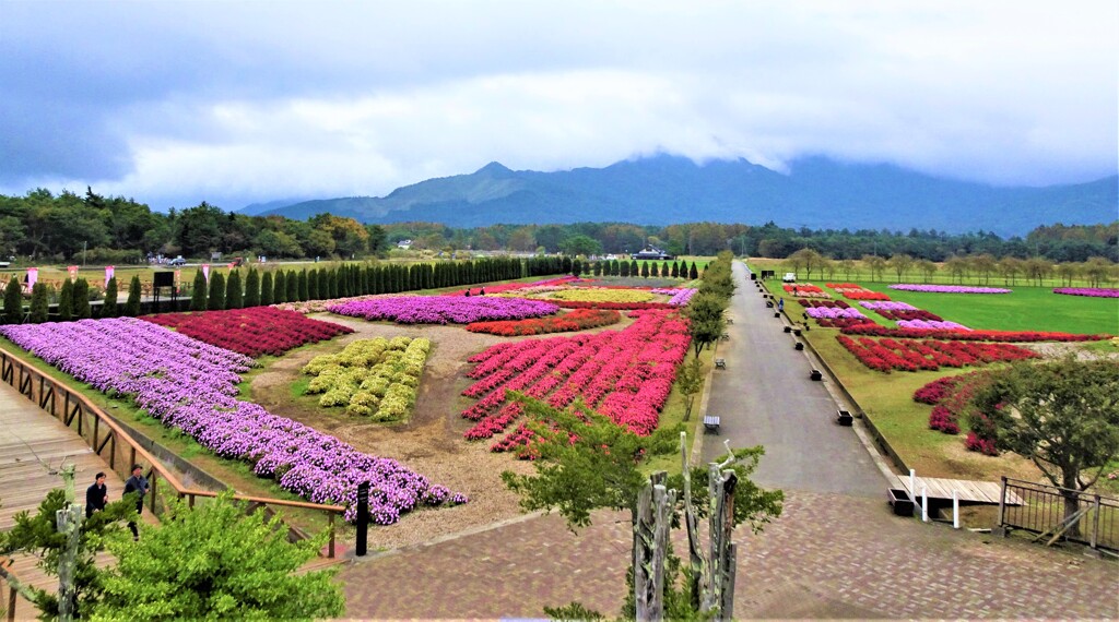 花の都公園