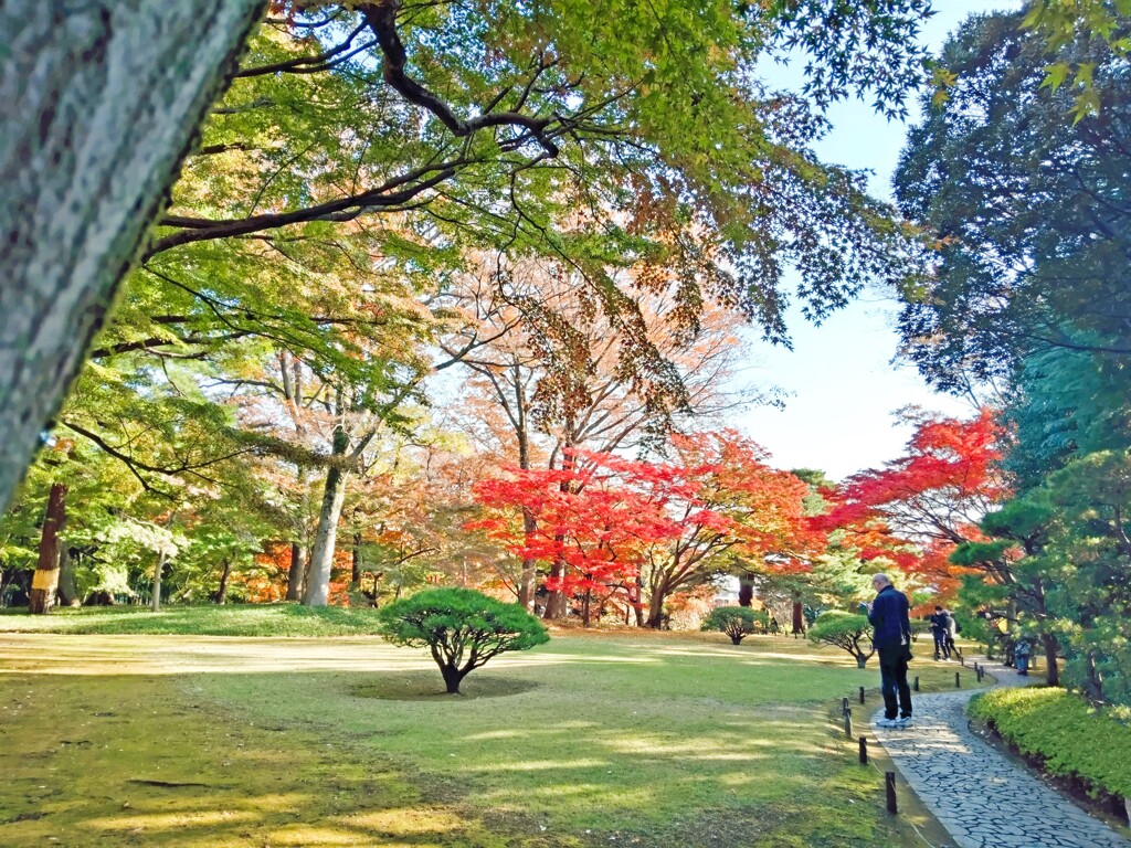 殿ヶ谷戸庭園の秋