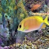 アクアリウム１