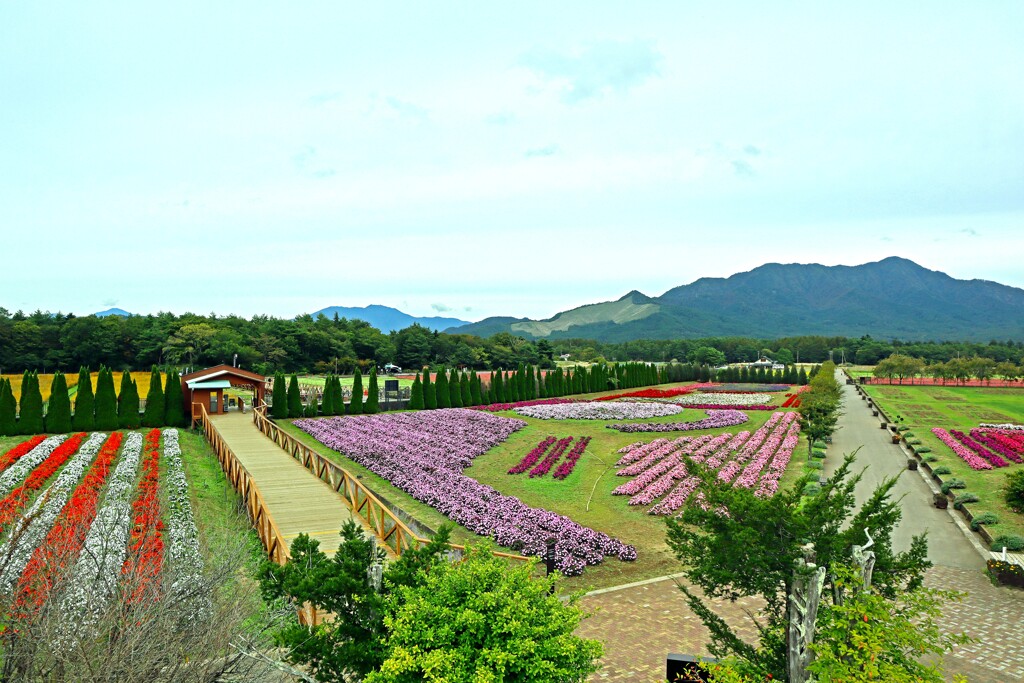 花の都公園