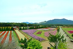 花の都公園
