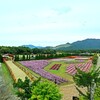 花の都公園