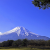 青空に聳える富士山