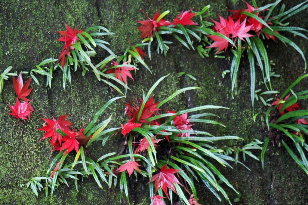 花のように