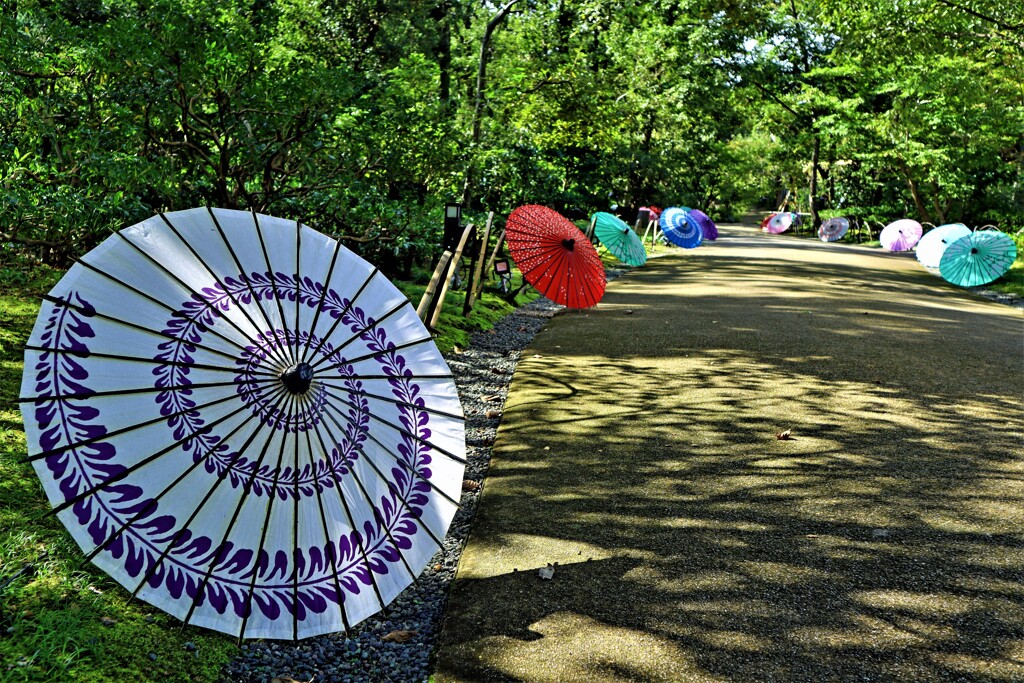 秋まつり・復活 ２