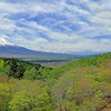 新緑と富士山