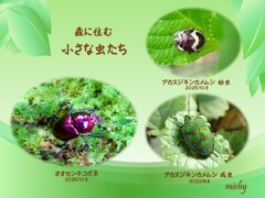 森に住む虫たち
