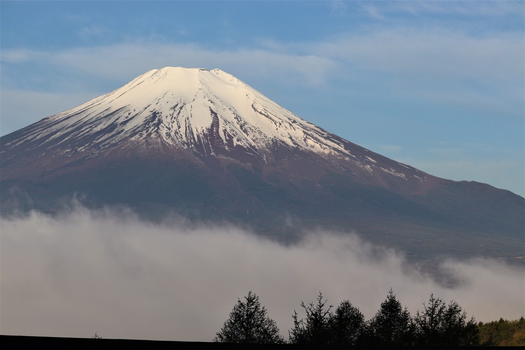 早朝の富士山