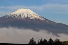 早朝の富士山