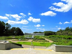 夏と秋の狭間で