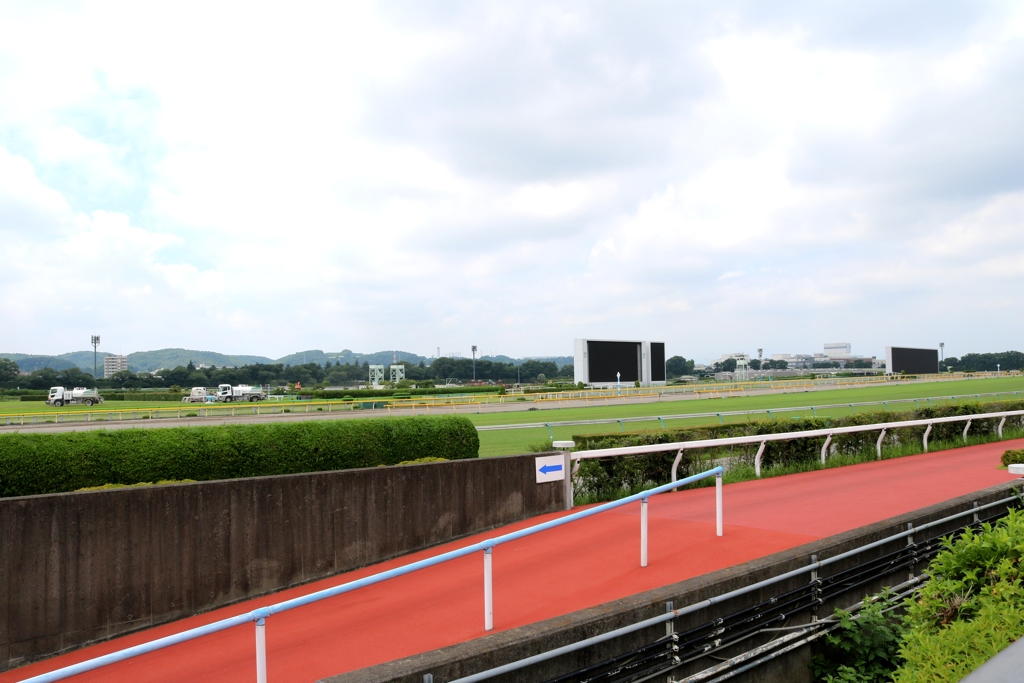 レースのない日に（２）