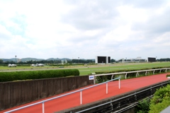 レースのない日に（２）