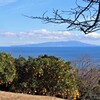 穏やかな冬の海