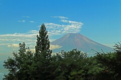 爽やかな朝に