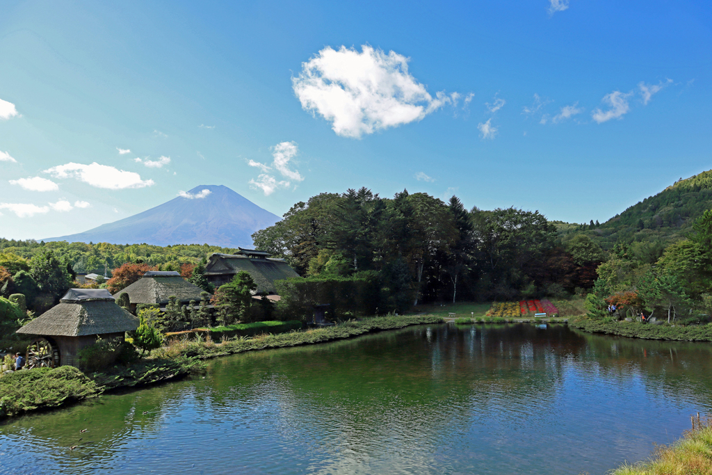 忍野八海からの富士山