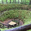 まいまいず井戸１
