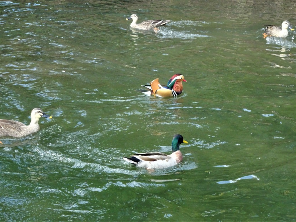 姿見の池にて２